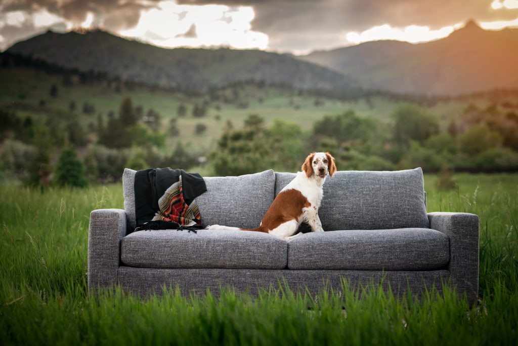 0621-Saltwolf-17 copy