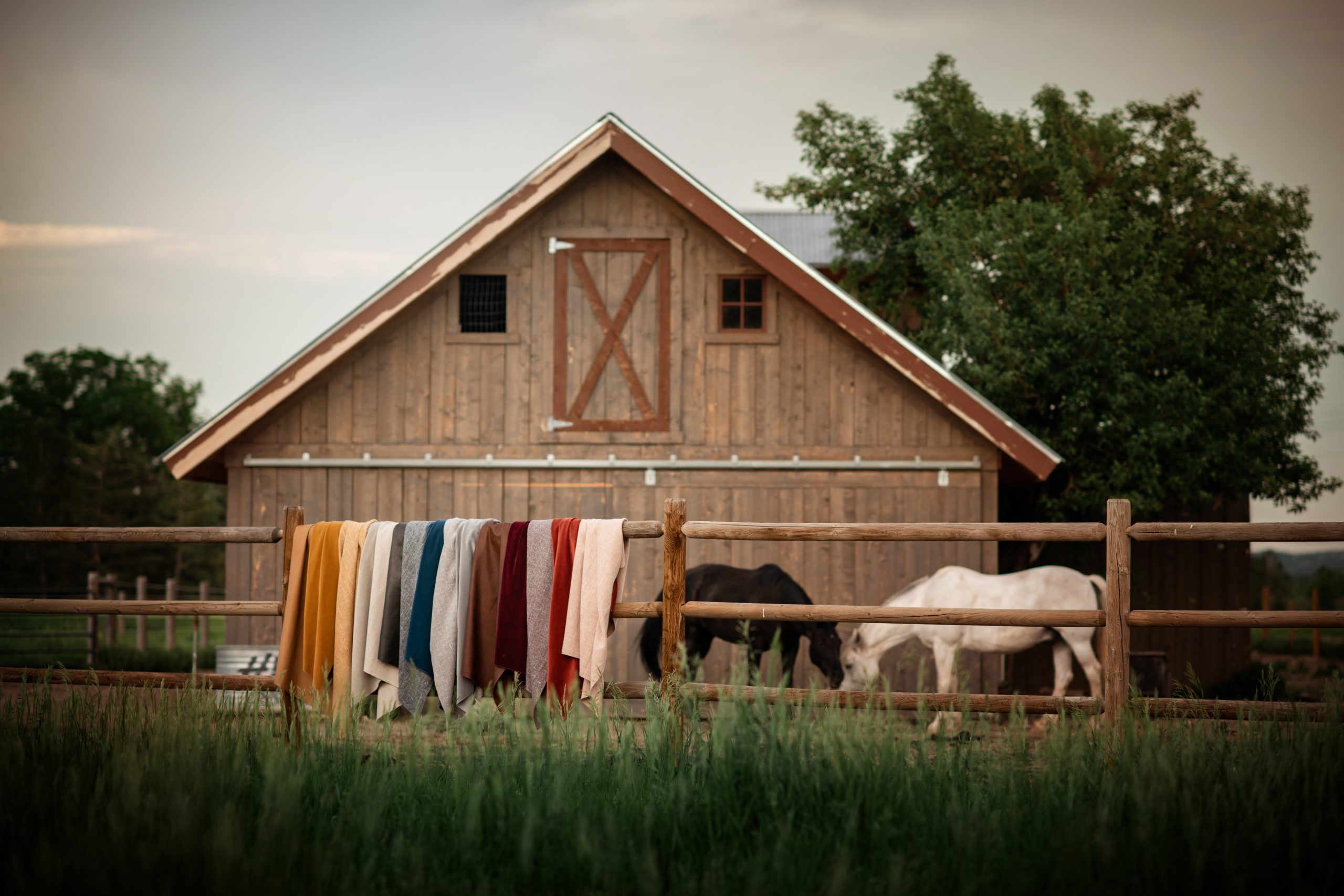 0621-Saltwolf-36 copy