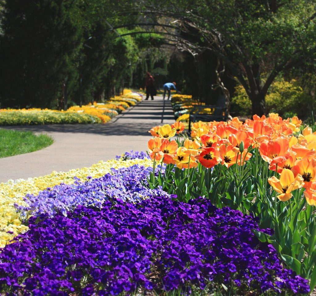 33980adc04d23619232a2daa3ad5e1fe